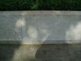 image of grave number 624239